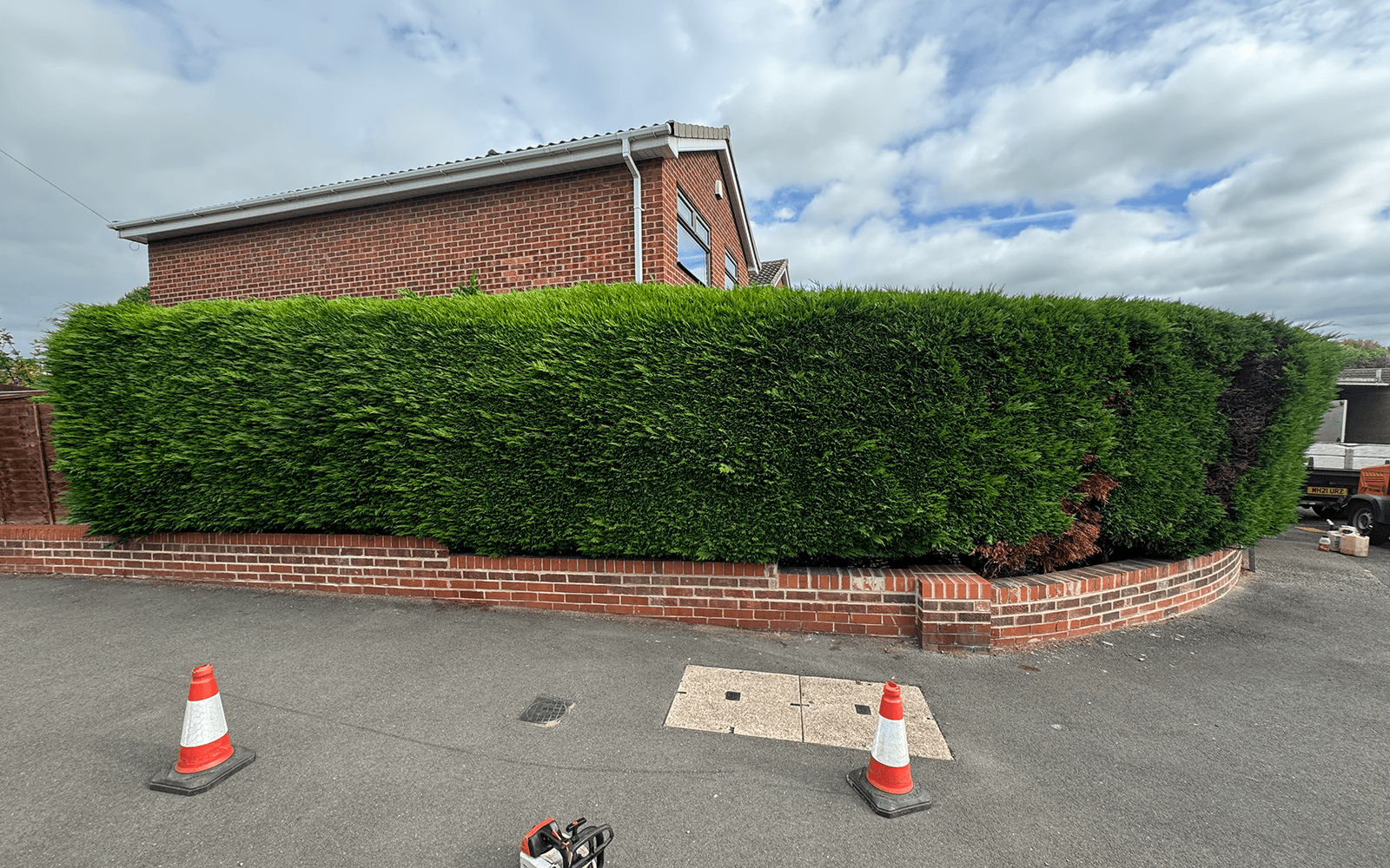 Herring Tree Surgery Work