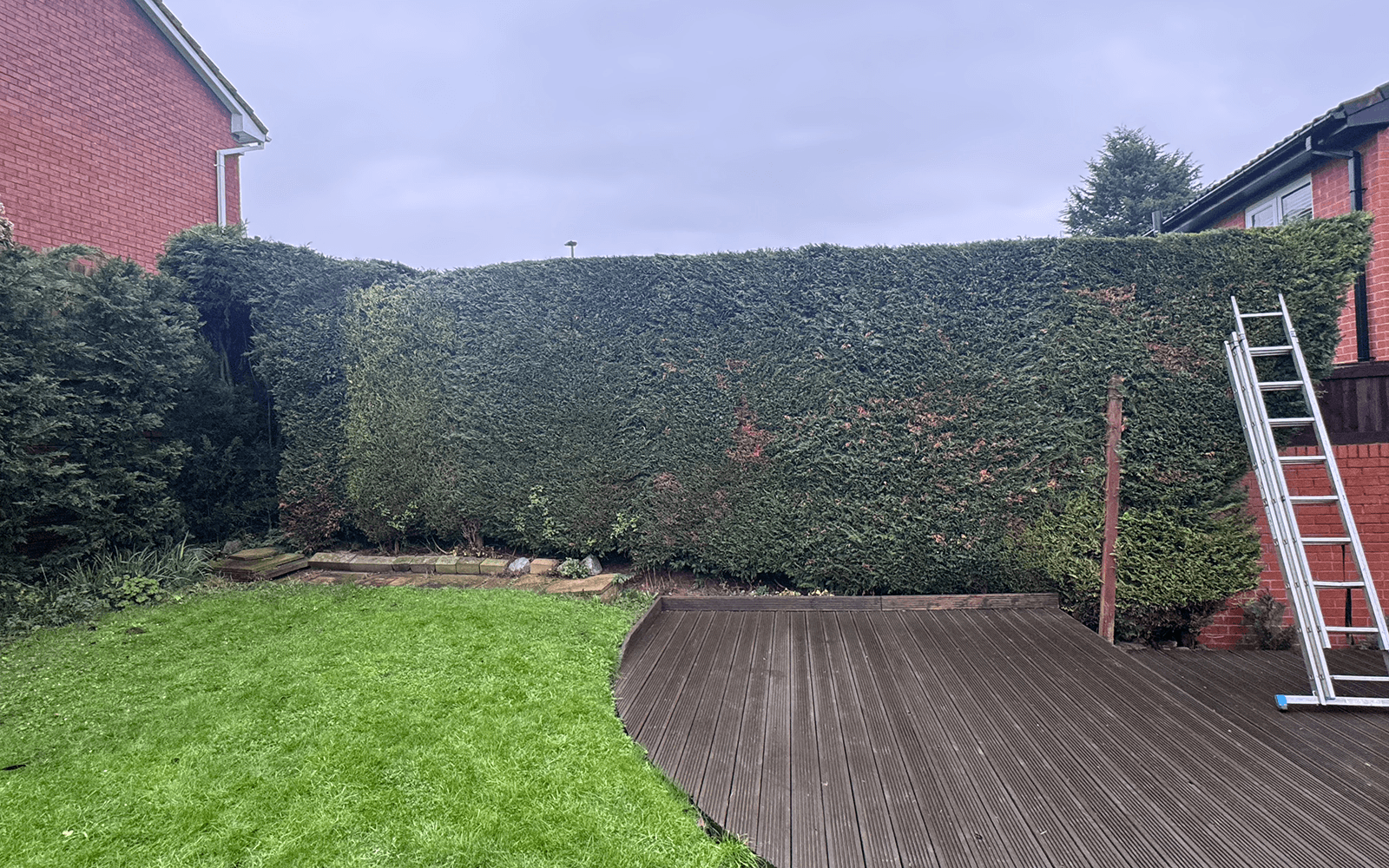 Herring Tree Surgery Work